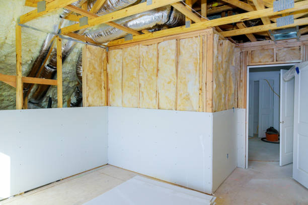 Best Insulation Contractors for Homes  in Chinle, AZ